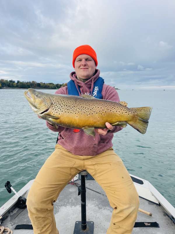 Spawning fall brown trout on the lower Niagara River