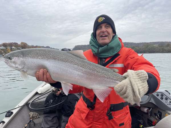 10lb winter Queenston rainbow trout