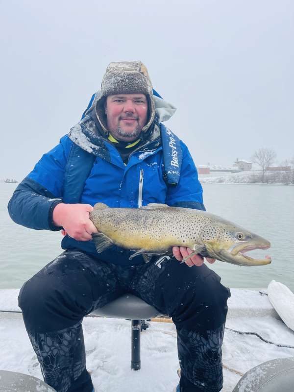 Winter brown trout showing off its colours