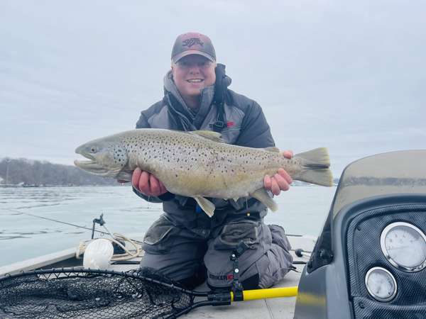 14lb 10oz lower Niagara River brown trout 
