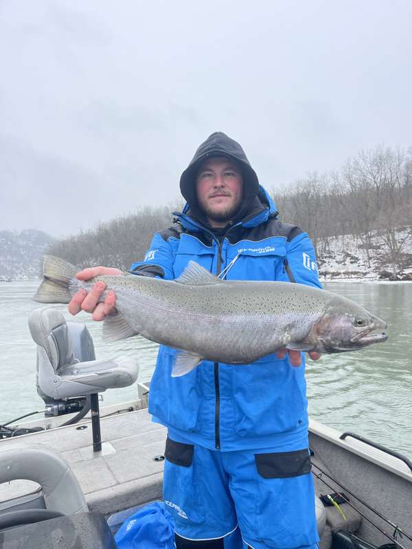 12lb lower Niagara River rainbow trout