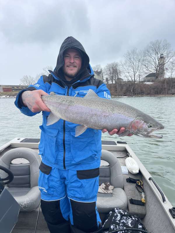 Beautifully coloured lower Niagara River rainbow trout