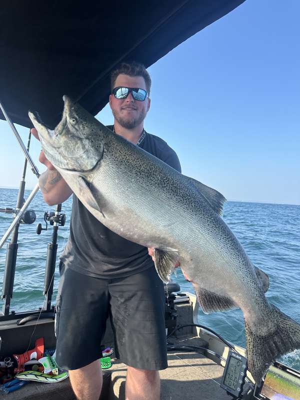 28.78lb Lake Ontario Chinook/King salmon