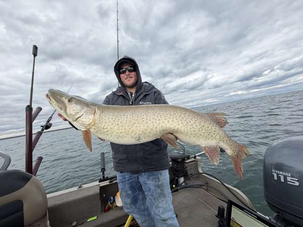 Captain Jesse with a huge Lake Erie musky