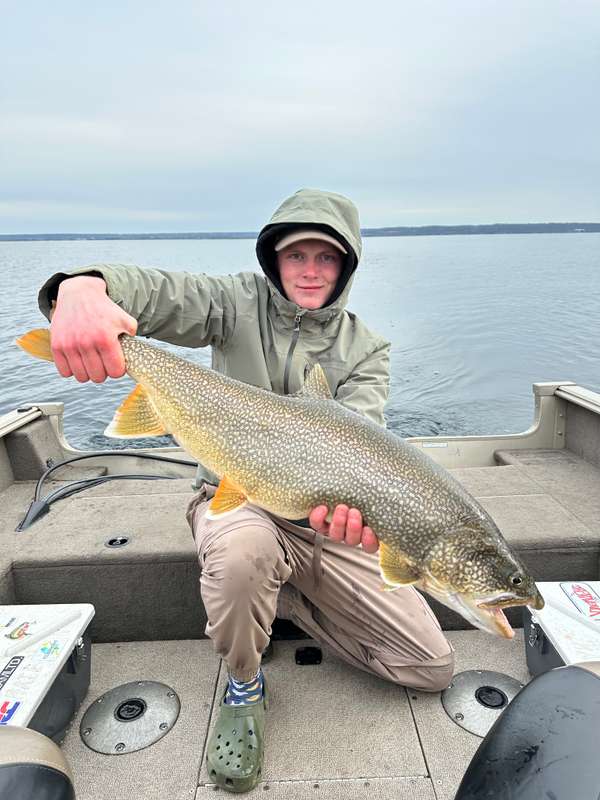 Lake Trout