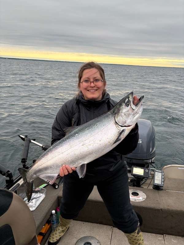 Chinook Salmon