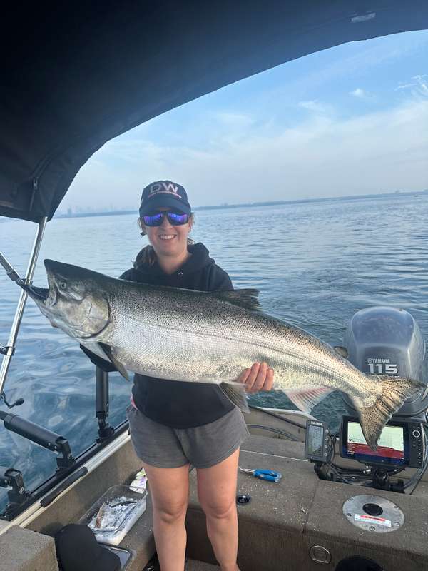 Chinook Salmon