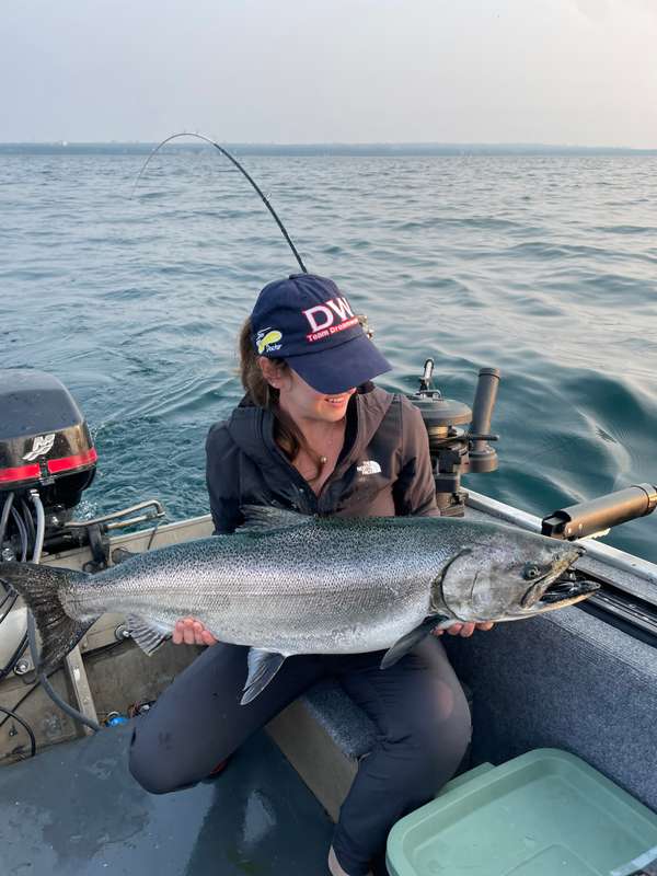 25.5lbs King Salmon