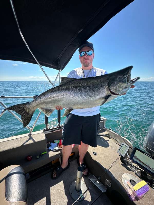 Fall Chinook Salmon