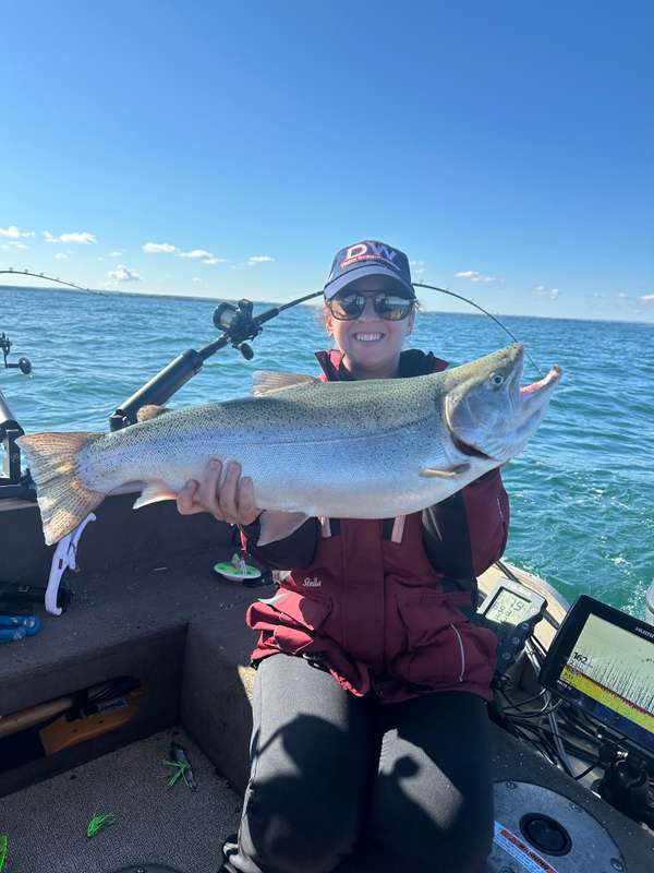 Rainbow Trout