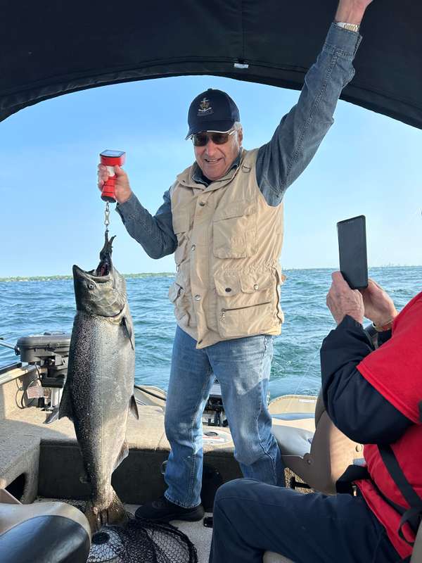 Vet Derby 2025 winning Salmon