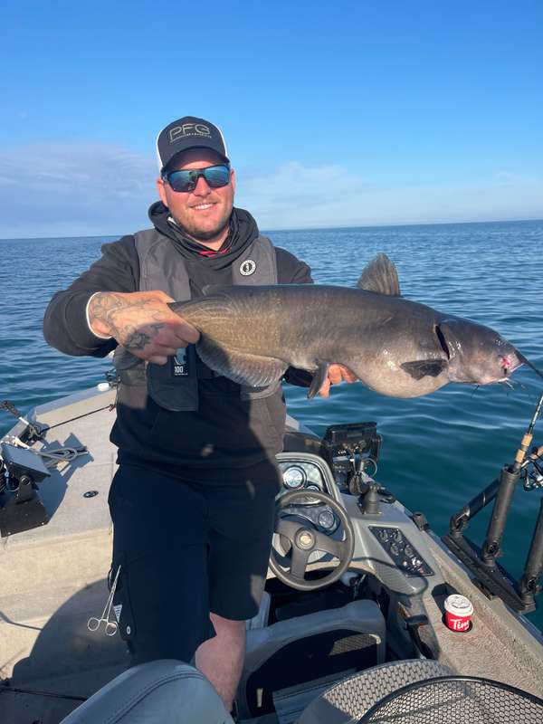 Channel Catfish