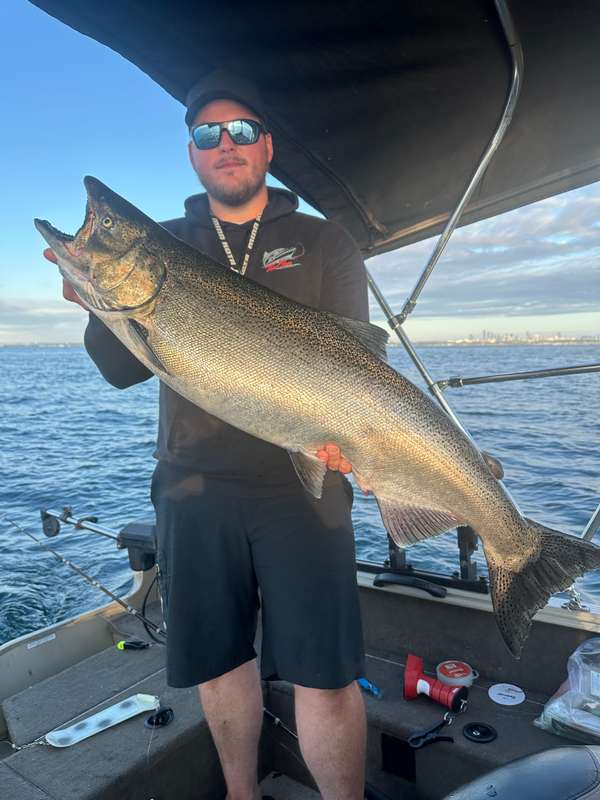 Fall Chinook Salmon