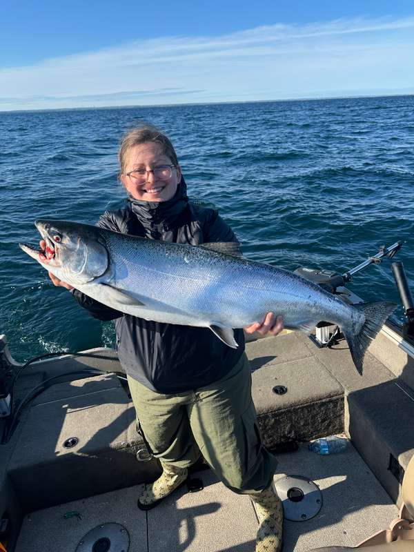 Chinook Salmon