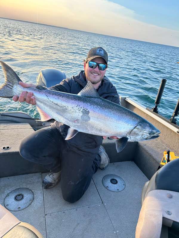 18.2lbs spring king