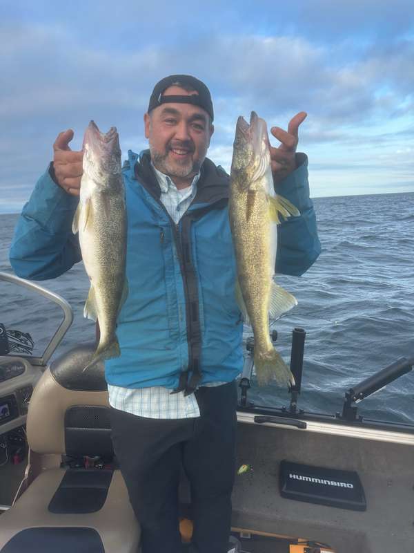 Walleye