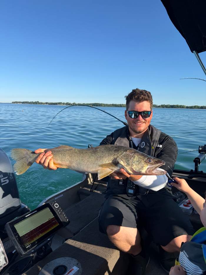 Walleye caught on Lake Erie