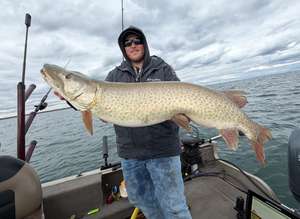 Large musky boatside on Lake Erie