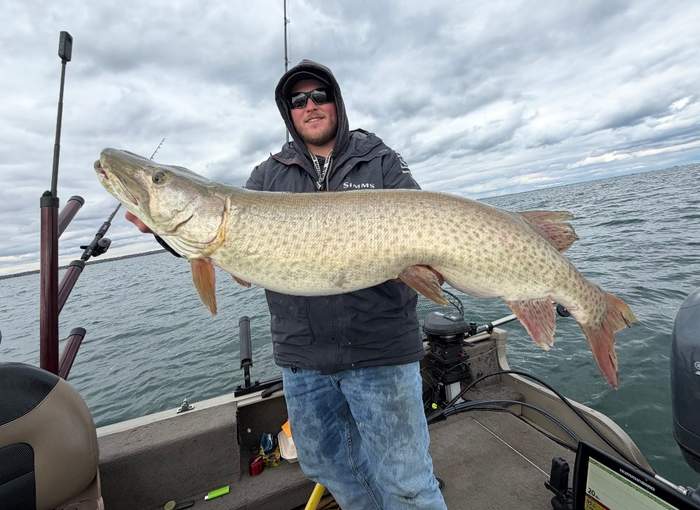 Large musky boatside on Lake Erie